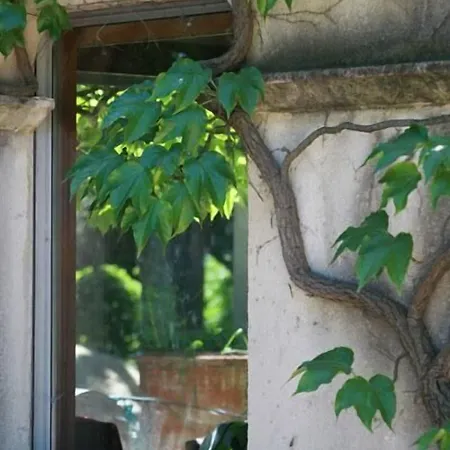 Couette-café Mas De L'ermitage 4*