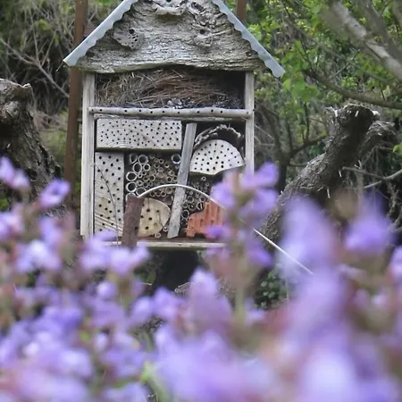 Bed & Breakfast Mas De L'ermitage 4*