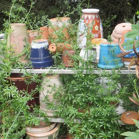 Bed & Breakfast Mas De L'ermitage