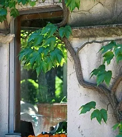 Mas De L'ermitage 라테