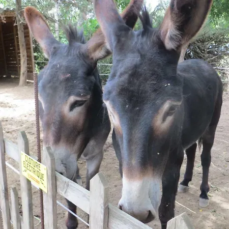 Bed & Breakfast Mas De L'ermitage 4*