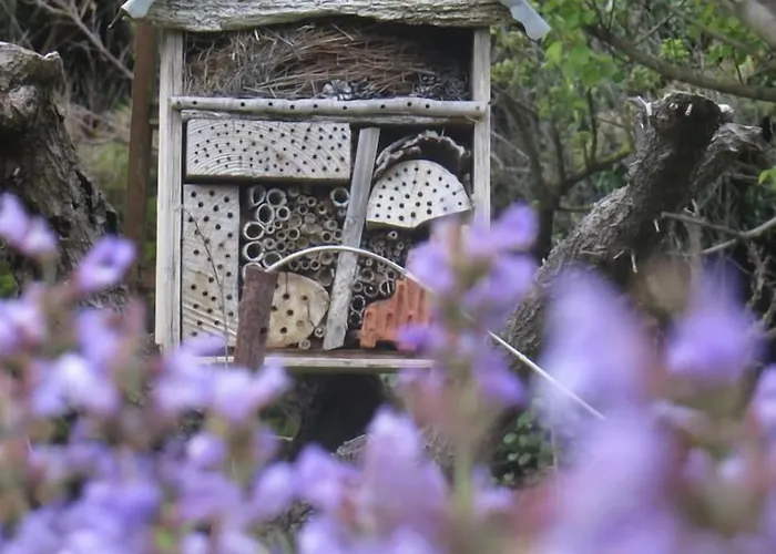 Alojamento de Acomodação e Pequeno-almoço Mas De L'ermitage 4*