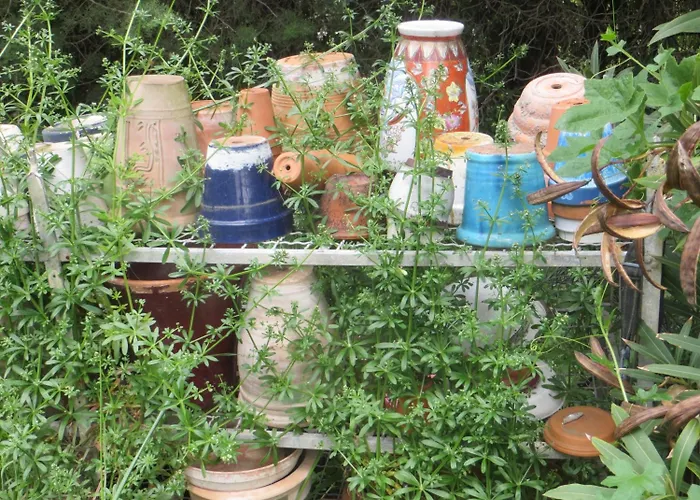 Alojamento de Acomodação e Pequeno-almoço Mas De L'ermitage